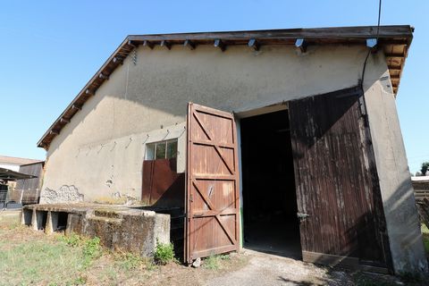 photo no. 1