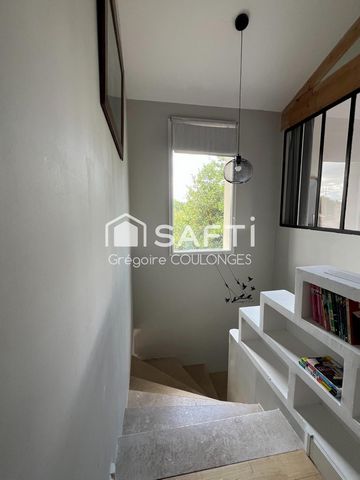 photo no. 12
