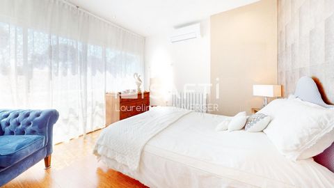 photo no. 13