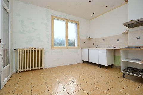 photo no. 8