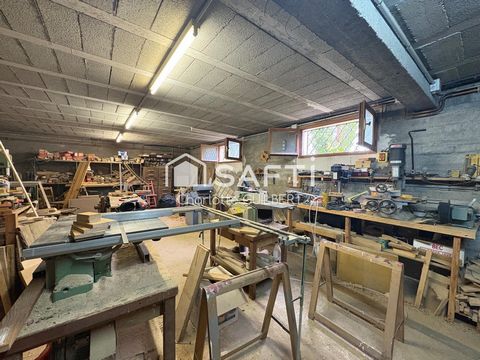 photo no. 11