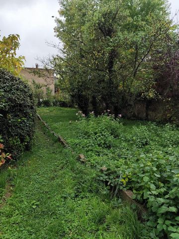 photo no. 4