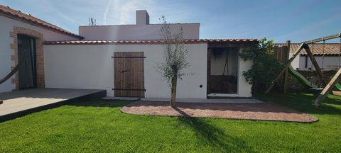 photo no. 14