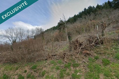 terrein avec très belle vue