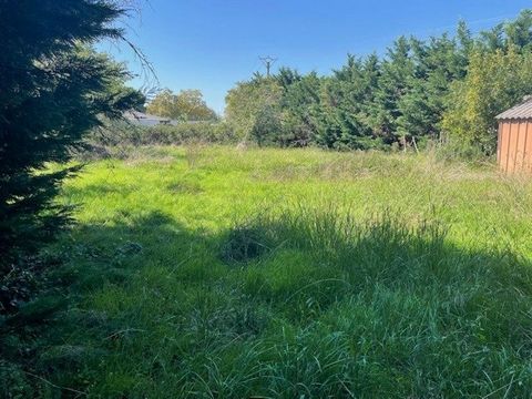 Terrain constructible