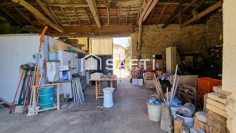photo no. 16