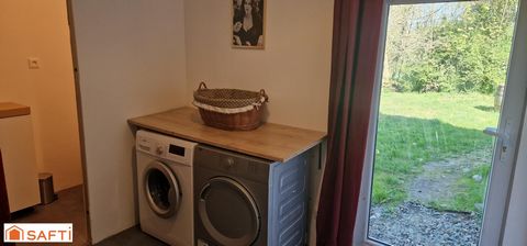 photo no. 12