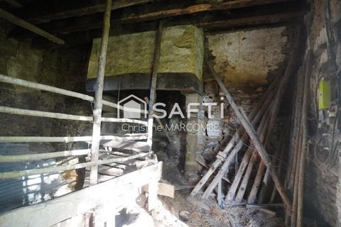photo no. 12