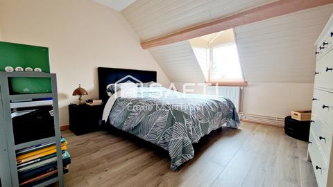 photo no. 11