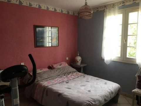 photo no. 6