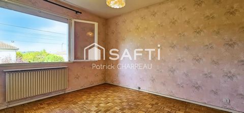 photo no. 5