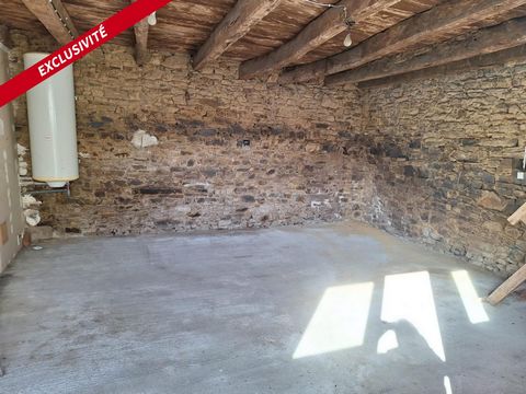photo no. 10