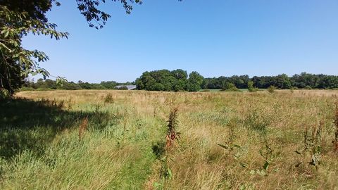 Propriété de 7 hectares à 15 min de Dax