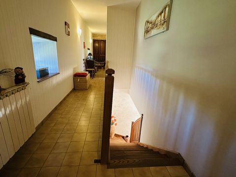 photo no. 13