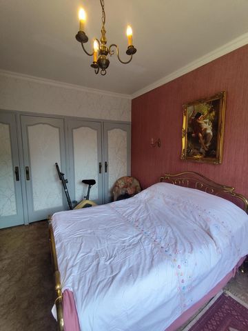 photo no. 8