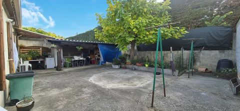 photo no. 7