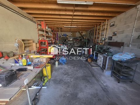 photo no. 15