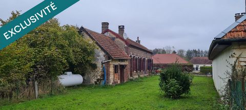photo no. 2
