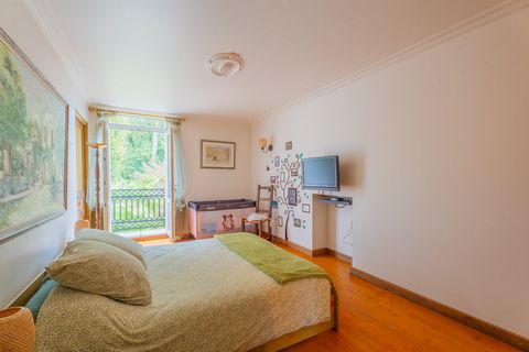 photo no. 14