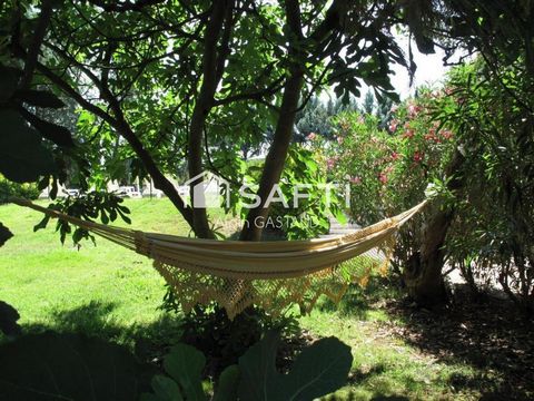 photo no. 10