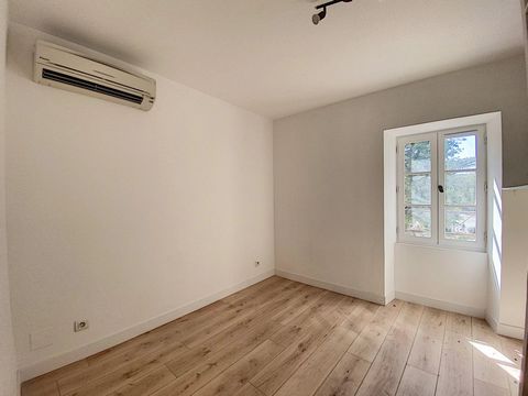 photo no. 13