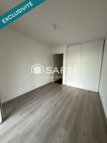 photo no. 11