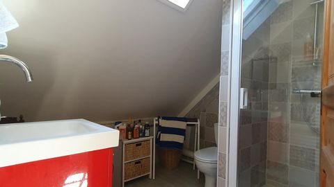photo no. 18