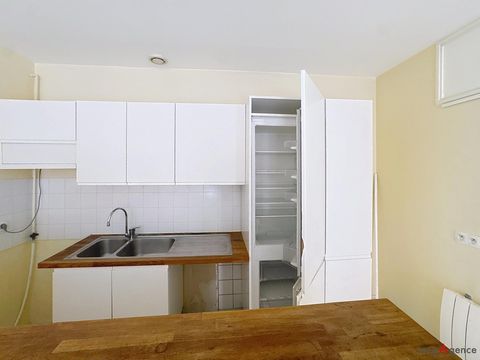 photo no. 9