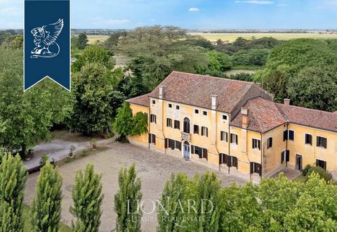 Avvolta dal silenzio e dalla quiete della campagna veneta, questa affascinante villa storica in vendita rappresenta un raro esempio di dimora nobiliare ottocentesca perfettamente conservata. La proprietà si estende su circa 2 ettari di terreno privat...