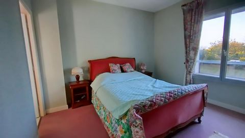 photo no. 7
