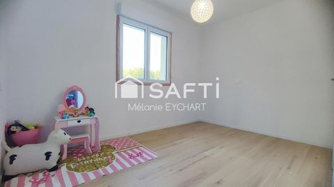 photo no. 11