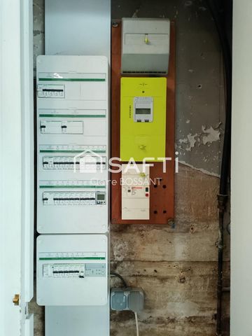 photo no. 6