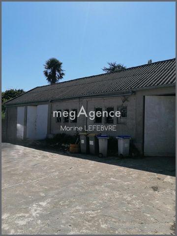 photo no. 15