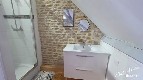 photo no. 17