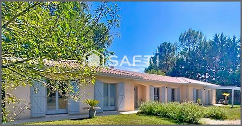 Environnement verdoyant