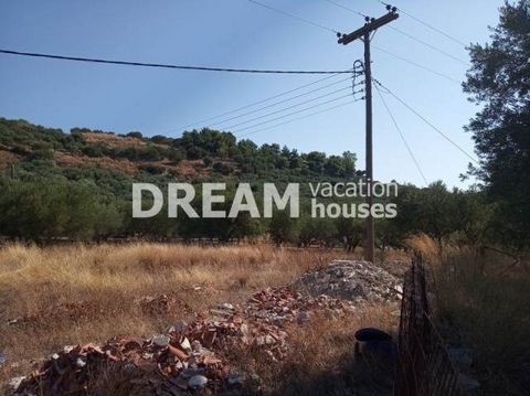 Description Keri, Agricultural Land For Sale, 49.000 sq.m., Features: Water Bore, Amphitheatrical, For tourist use, Price: 6.000.000€. Πασχαλίδης Γιώργος Additional Information Piece of land with a total surface of 49,000 sq.m. in Keri in Zakynthos. ...