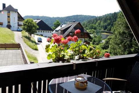 Cet appartement de vacances est situé dans une belle maison de la Forêt-Noire à Menzenschwand, un quartier de St. Blasien. Depuis le balcon et votre propre terrasse, vous avez une vue magnifique sur les environs. Profitez de belles heures au soleil i...