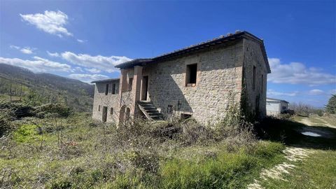 VALFABBRICA (PG): on the border between Valfabbrica and Assisi, farm of approximately 62 hectares with farmhouse, barn and stable, comprising - 33 hectares approx. of hillside arable land including PAC shares; - approximately 29 hectares of woodland ...