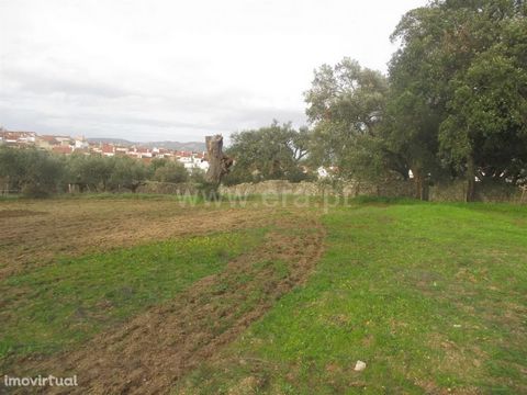 Excellent land within the perimeter of Nisa with good access, area of 2250 m2, excellent for agriculture with electricity and water of the company about 100 meters and with possibility of construction. Excluded from the SCE, under Article 4 of Decree...