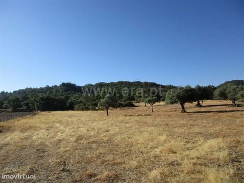Land with 11500m2 with good access on dirt. Composed of olive trees and arable culture and a well. Includes a haystack with 30m2 with patio of 40m2. Opportunity! Excluded from the SCE, under Article 4, of Decree-Law No. 118/2013 of 20 August.