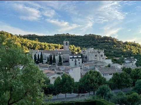 LUXE PROPERTIES is pleased to present you this magnificent stone house of the thirteenth century of 240m2 in Vallfogona de Riucorb, Tarragona. House with three floors distributed as follows: We access the house through a large hall, a large billiard ...