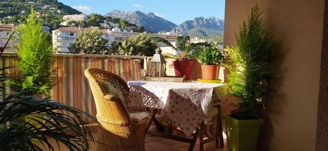 Roquebrune Cap Martin, nice bright T2 50 m2 (Carrez law), terrace of 10.05m2, magnificent mountain view, close to the sea and train station, small charges, swimming pool and caretaker. Price: 349,000 euros