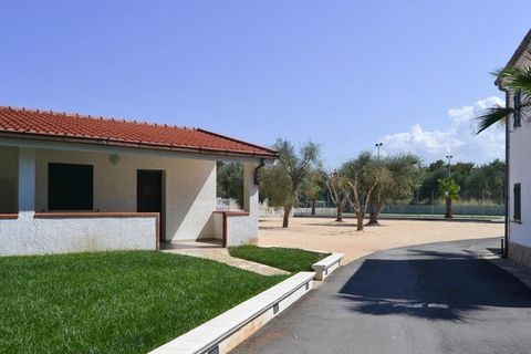 Holiday complex with apartments, bungalows and a camping site in the middle of a large pine forest in the immediate vicinity of the beach in the seaside resort of Lido del Sole on the Gargano coast. The ideal location offers numerous recommended excu...