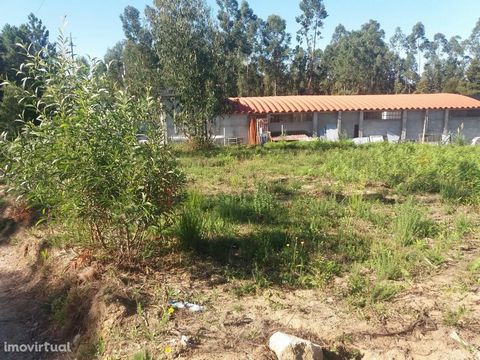 Buy land in Lobão (Santa Maria da Feira) * Constructive viability * 2,100m² Land with constructive viability for 2 pavilions of 400m² each or 2-storey building. Make an already visit. Impact, your real estate. No. Ref. 8321. Put your property for sal...