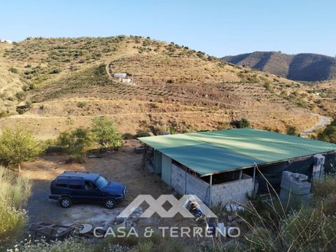 In de rustige omgeving van Rubite, in de gemeente Canillas de Aceituno, vinden we een cortijo met uitgestrekt terrein van 3 percelen van ongeveer 7.000 m2. Het land is geschikt voor het planten van diverse droge vruchten zoals amandelbomen, wijnstokk...