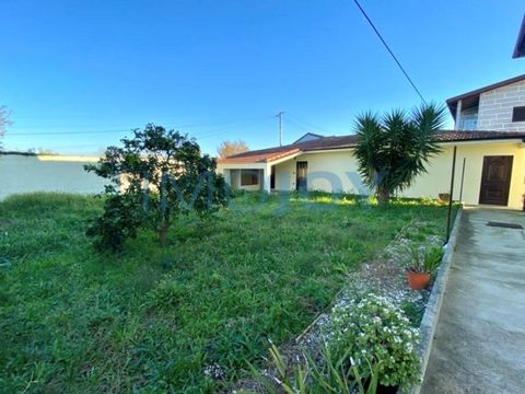 Used house, in good condition and in need of only minor modernization works. Property with 205m2 of gross construction area, on a plot of 560m2 and distributed as follows: Floor 0: Entrance hall with staircase to the first floor with 7m2 Kitchen with...