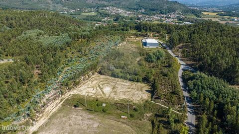 Terreno com 21.800m2, ao lado do Campo de Futebol 175 metros de frente de estrada Excelente exposição solar Qualificado segundo o PDM de Guimarães, como 