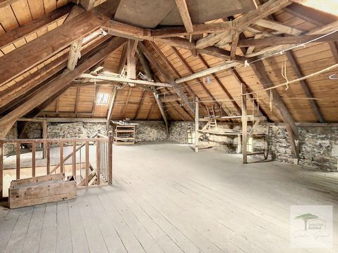 photo no. 11
