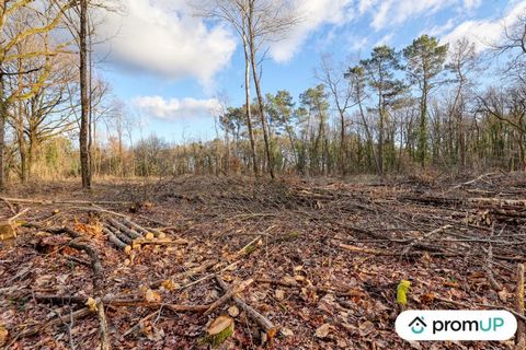 Welcome to CHÂTILLON-SUR-CHER, where nature comes to life in this superb forest of 3925 m2 for sale. This property extends over a generous area, ready to host your moments of relaxation in the open air. This flat, wooded plot of land offers you an id...