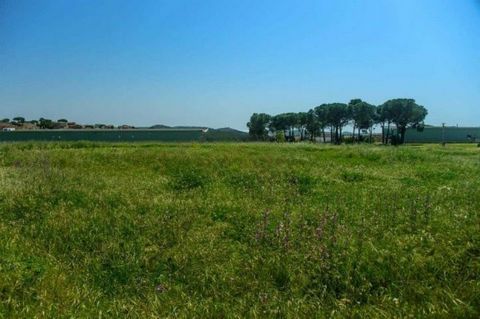 Plot of 487m2 in the Mas Borrell urbanization, located in a well-connected area in ??the Mont-ràs limits, adjacent to the Palafrugell area. Mas Borrell, is a few kilometers from the beaches of Mont-ràs, Calella de Palafrugell and Llafranc, in an area...